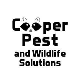 Cooper Pest and Wildlife Solutions